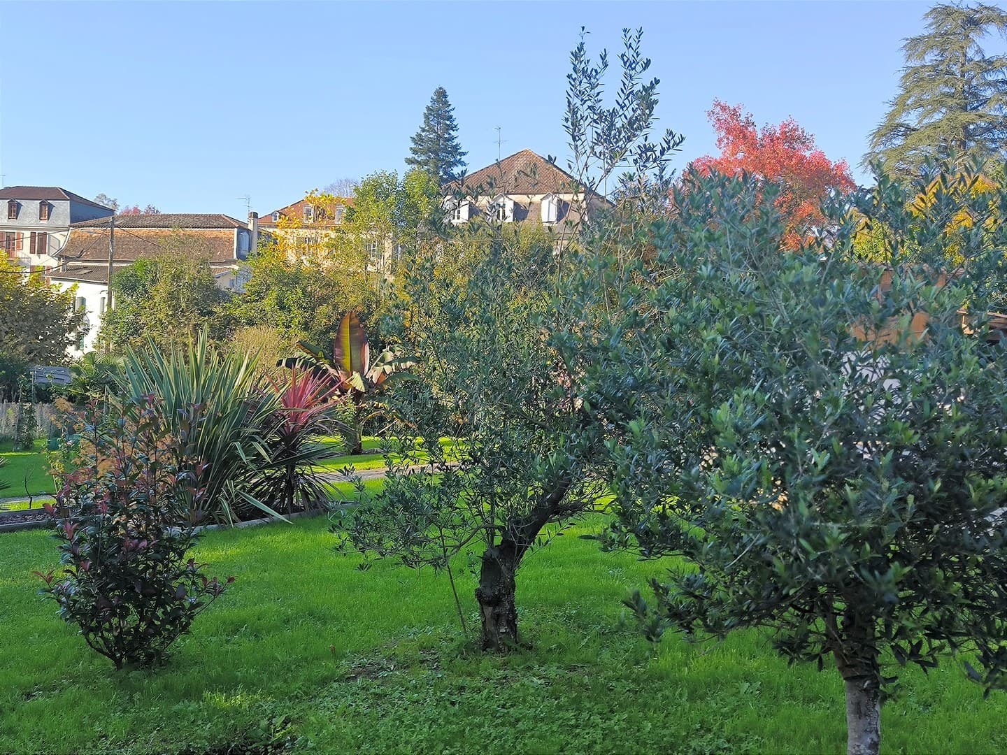 Studio "Les Treilles de Salies"