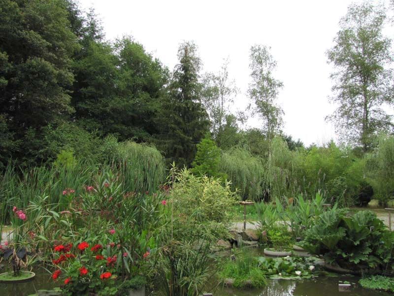 Jardin du parc de féeriland_4
