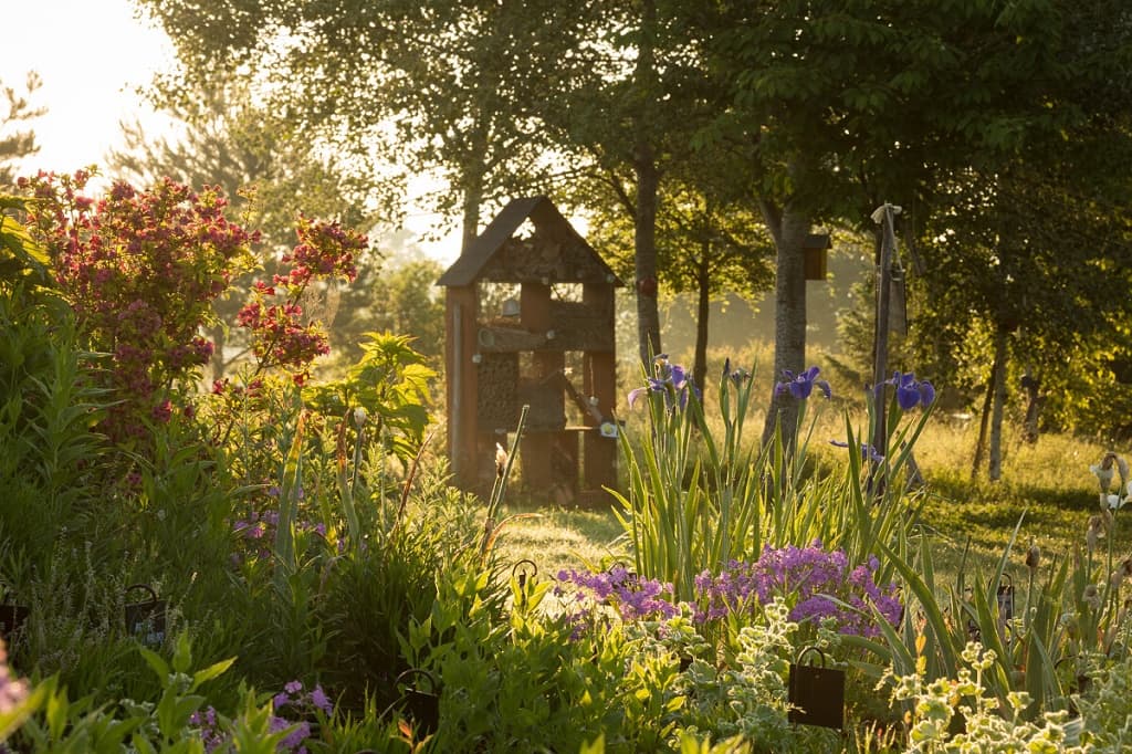 Jardins_de_Colette_-_Printemps_-_Varetz-Malika_TURIN-3358-1200px