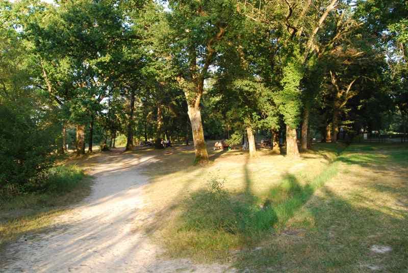 Jemaye sentier