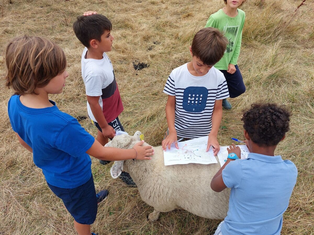 Jeu enfants ferme cinsi