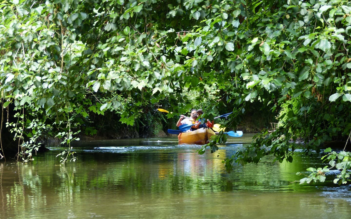 Jungle Canoe - La Bastide-Clairence - Pays Basque