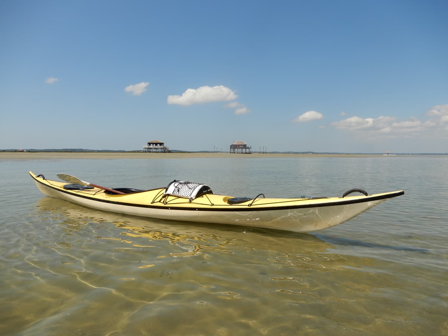 Kayak mer dune ile oiseaux 1
