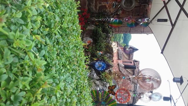 L'Ornage Bleue_2