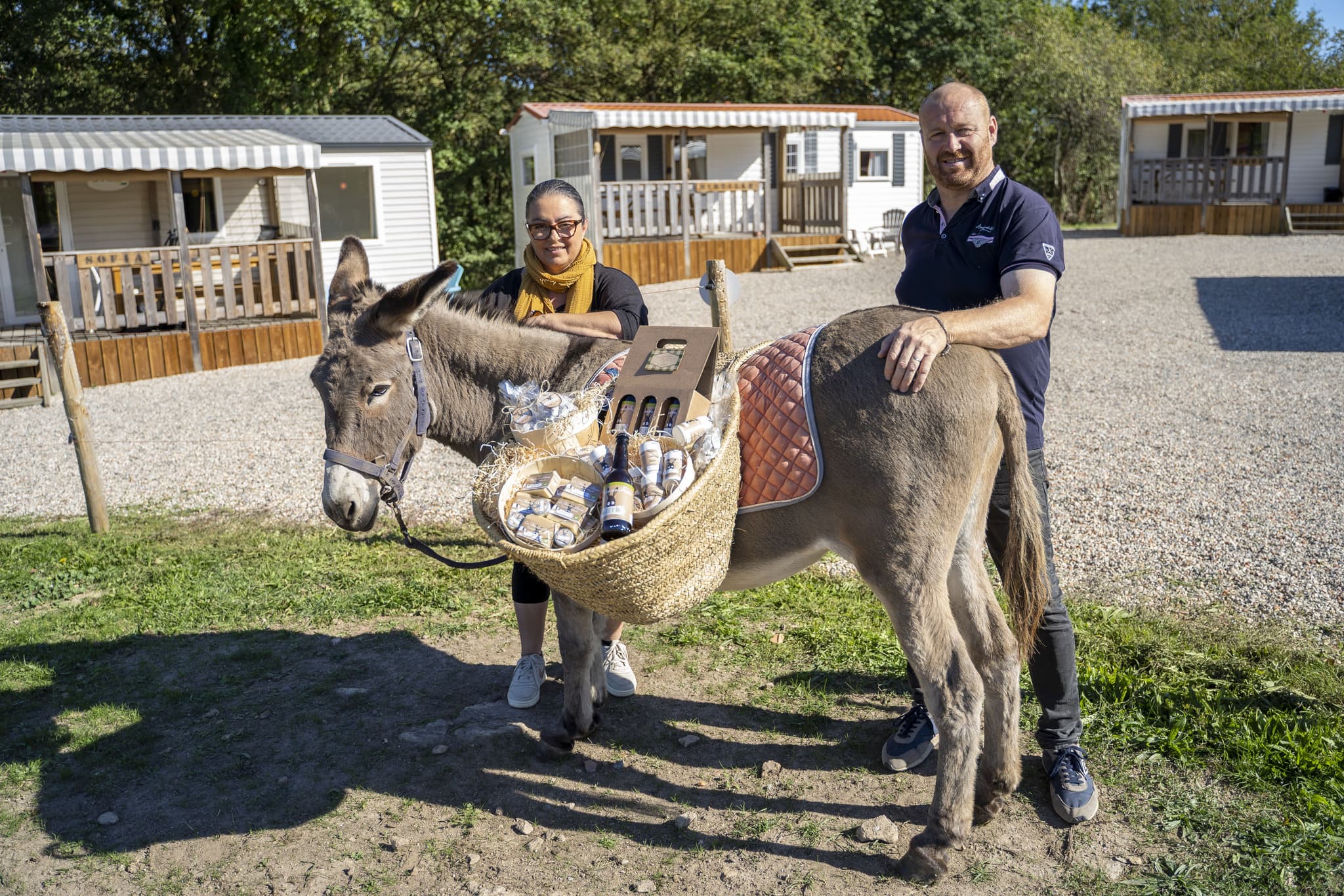 terves-camping-la-ferme-aux-anesses