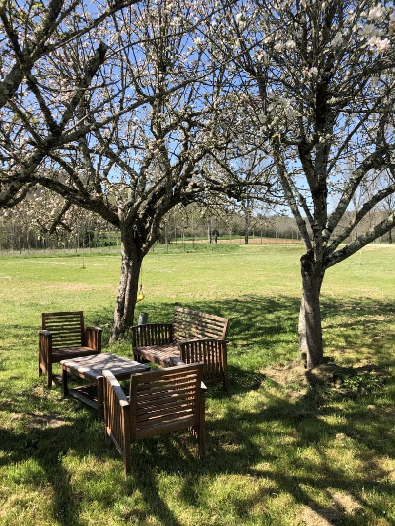 LE BUREAU (15)