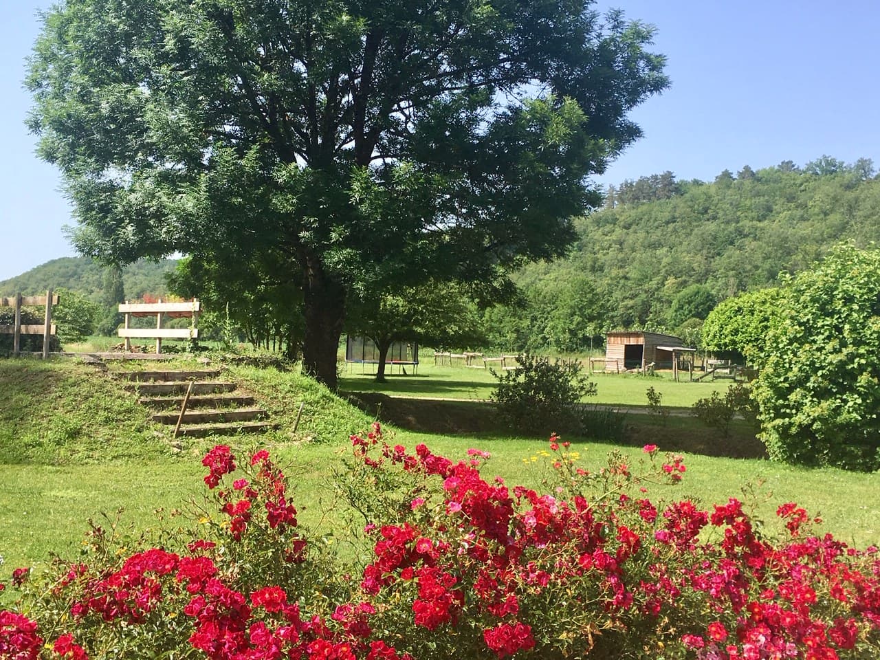 LE MOULIN AUX ANS (8)