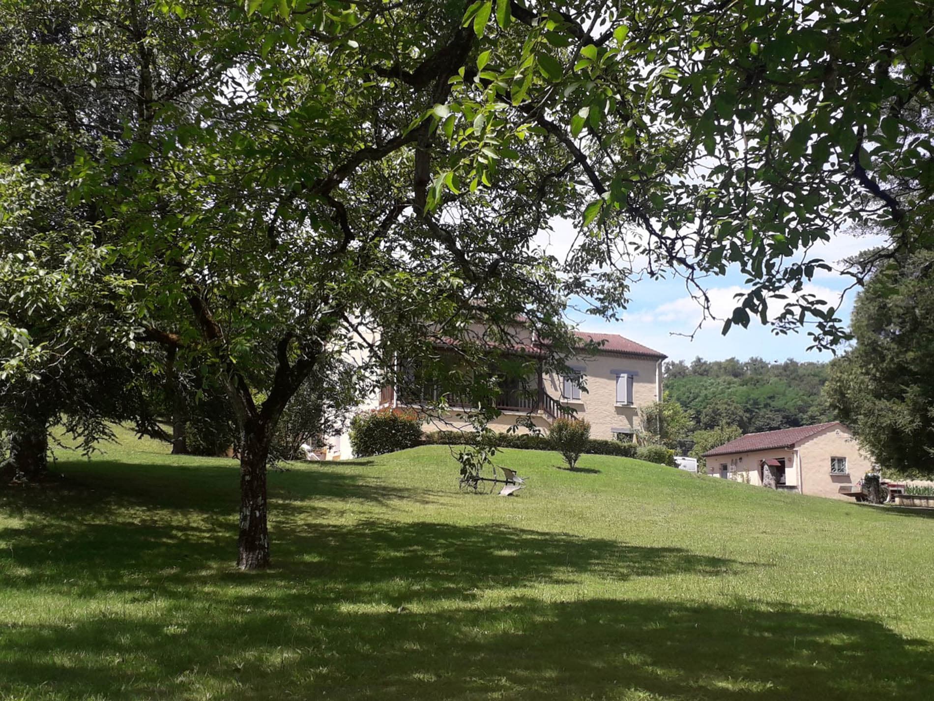 La Garrigue (1)