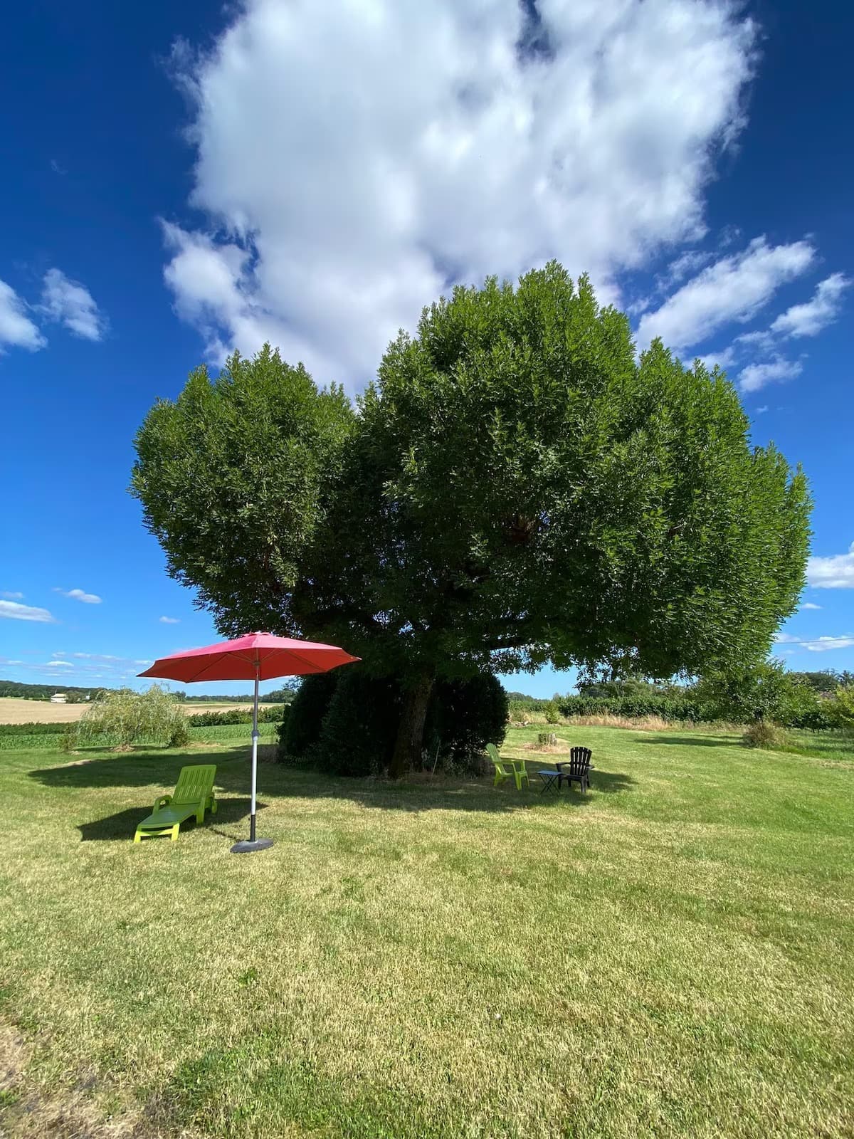 Lacaussade_Gîte de Sicard (5)