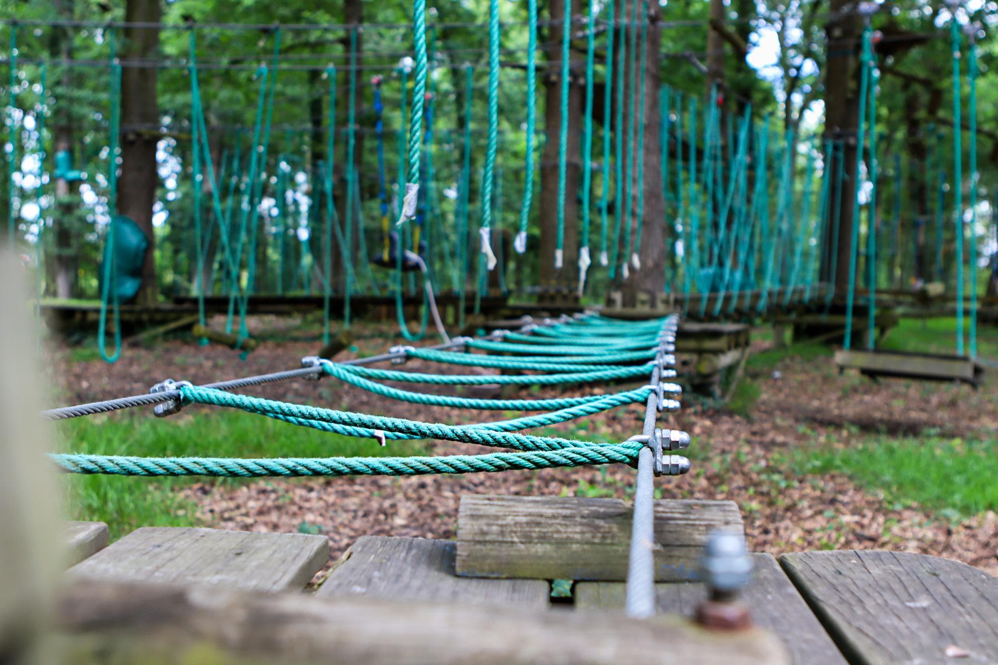 Lacq Aventure parcours accrobranche adulte enfant dans les arbres (10)