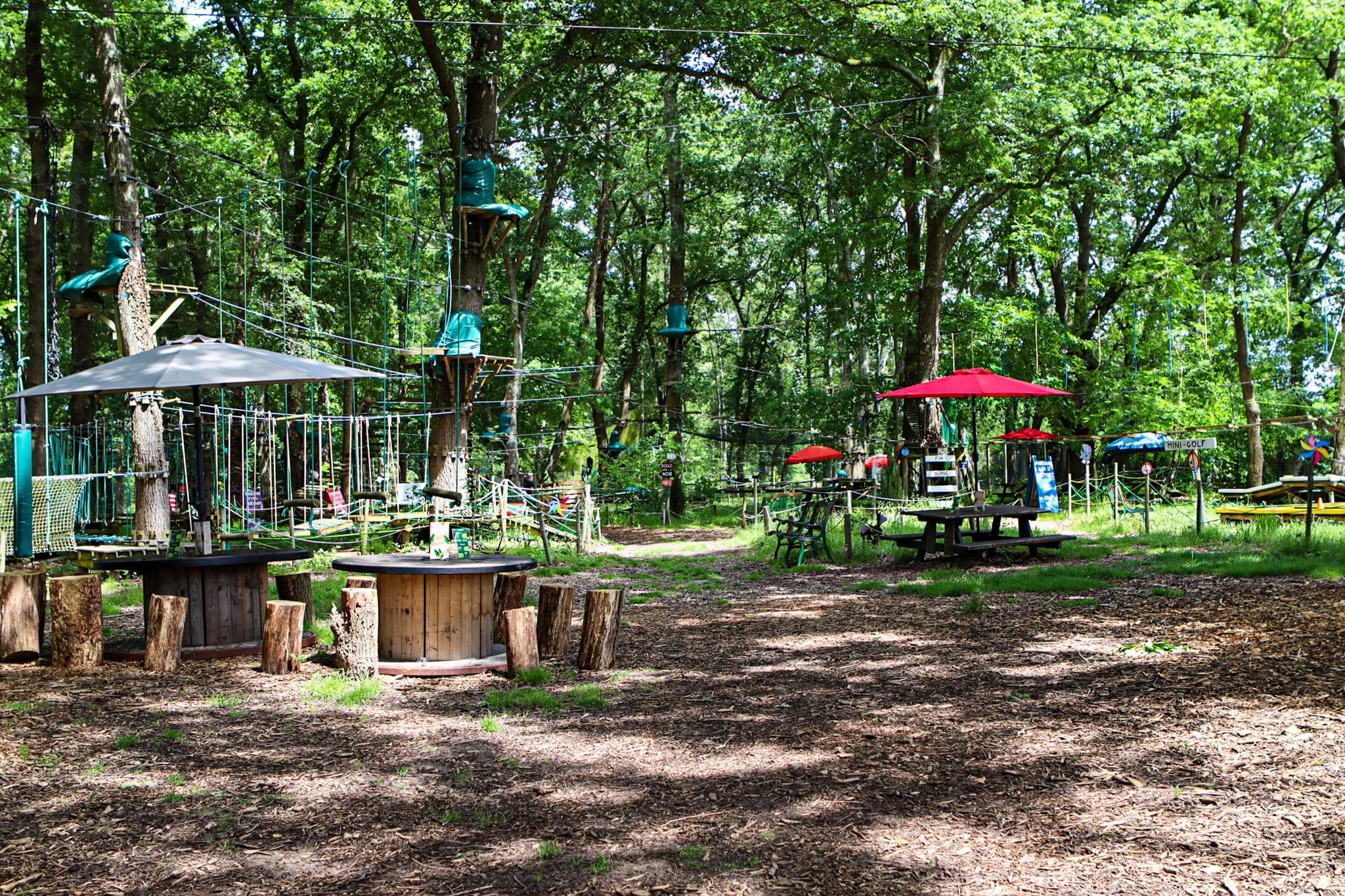 Lacq Aventure parcours accrobranche adulte enfant dans les arbres (3)