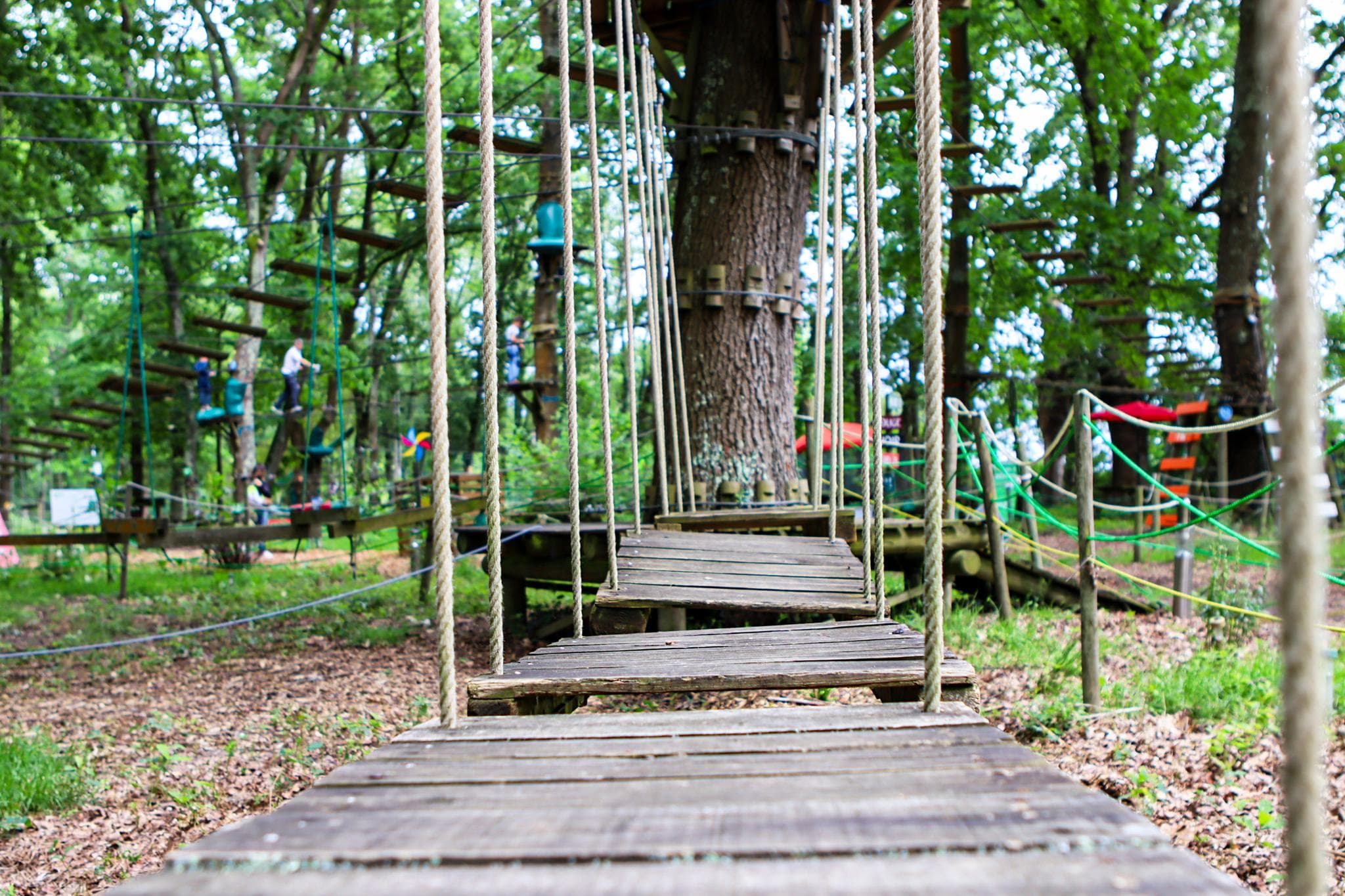 Lacq Aventure parcours accrobranche adulte enfant dans les arbres (9)