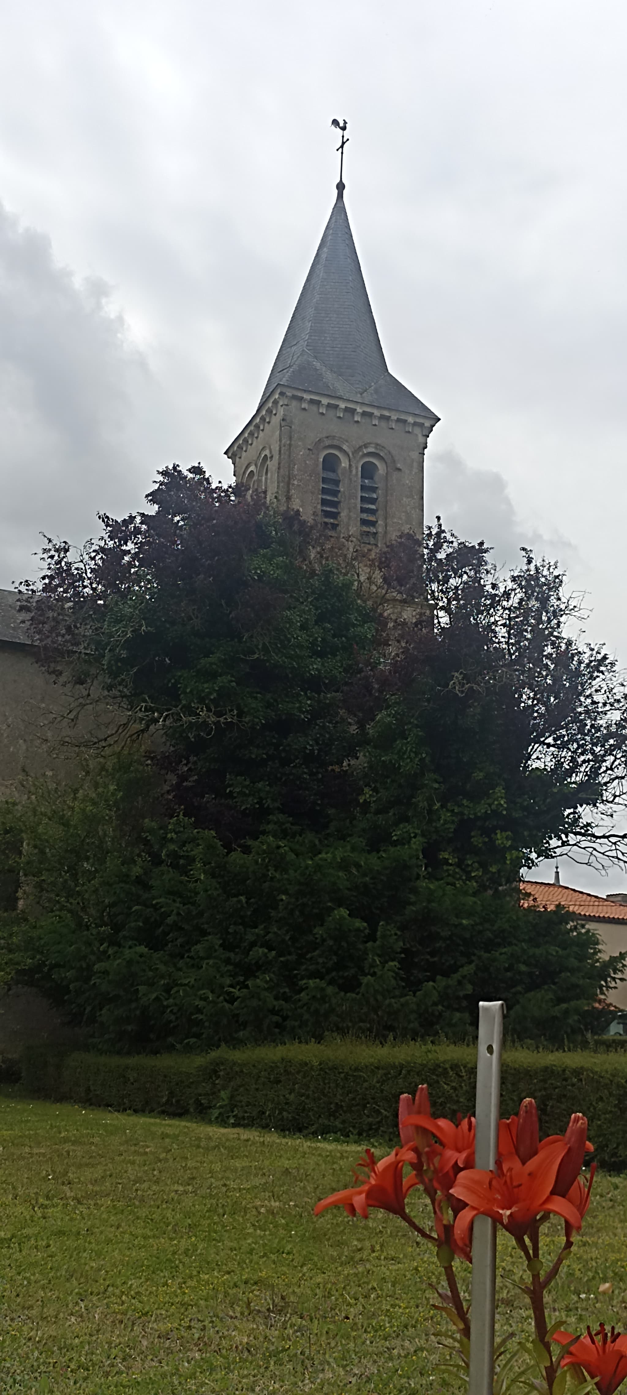 Lamairé (1)