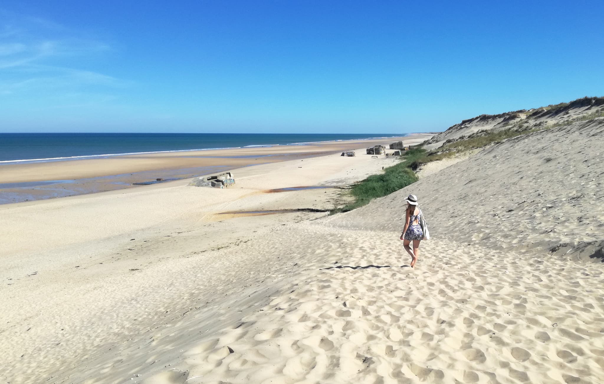 Le Pin Sec Naujac-sur-Mer - © Médoc Atlantique (21)