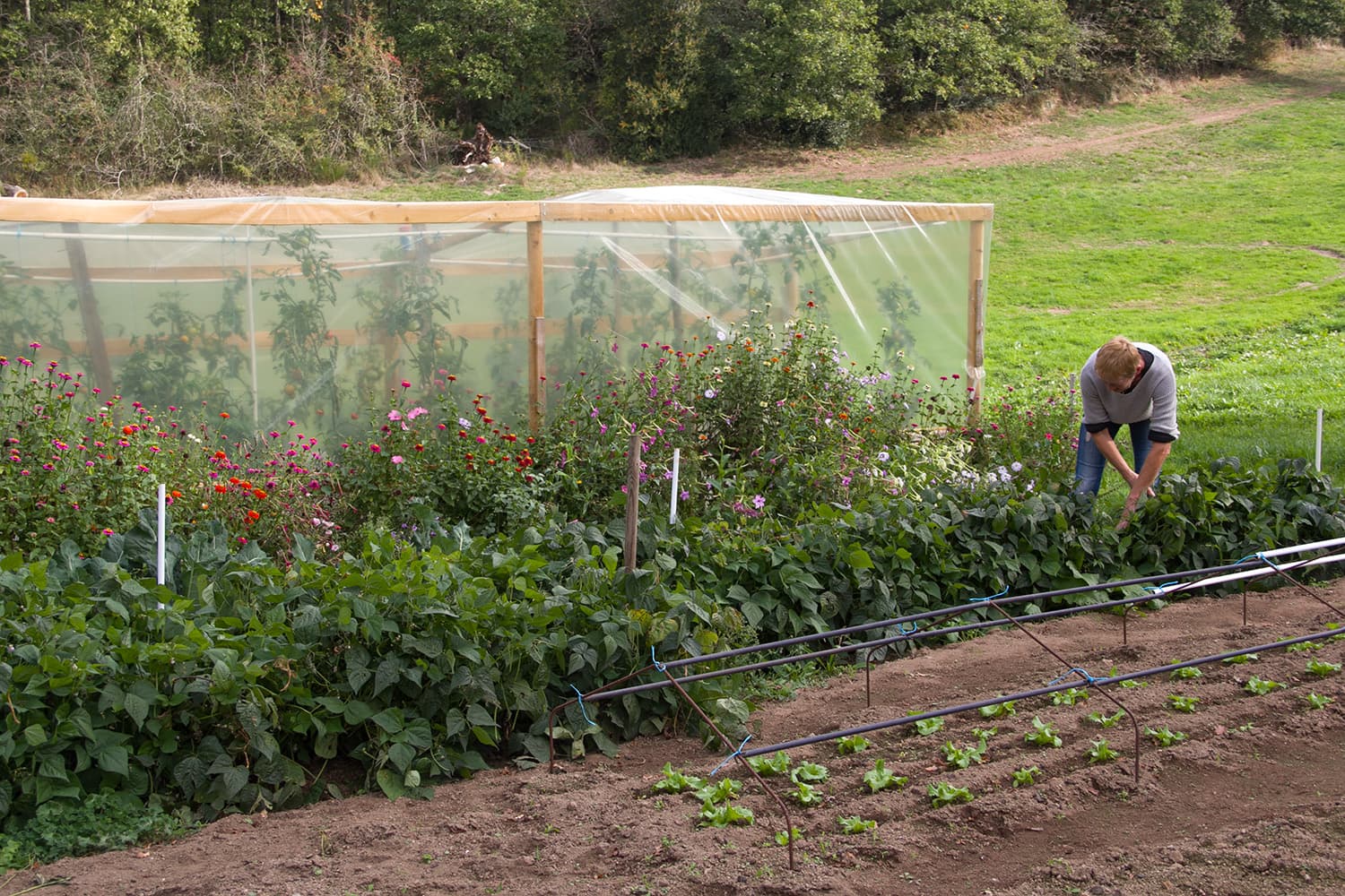 Le moulin à légumes (2)