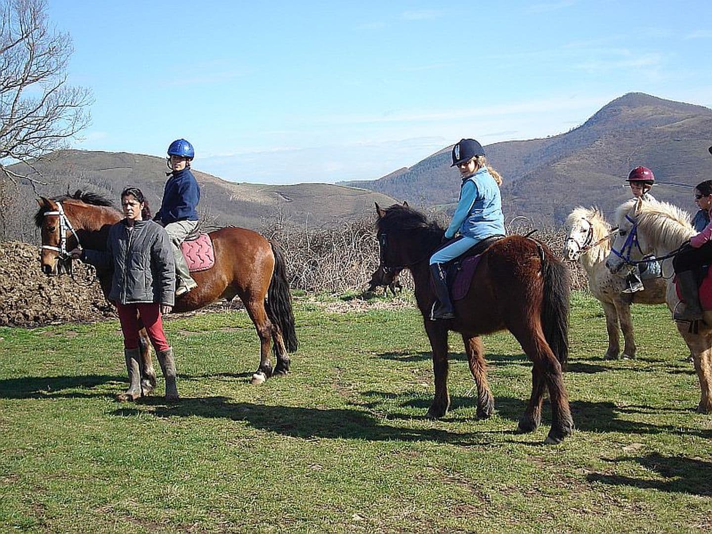Les Ecuries d'Urane - poneys