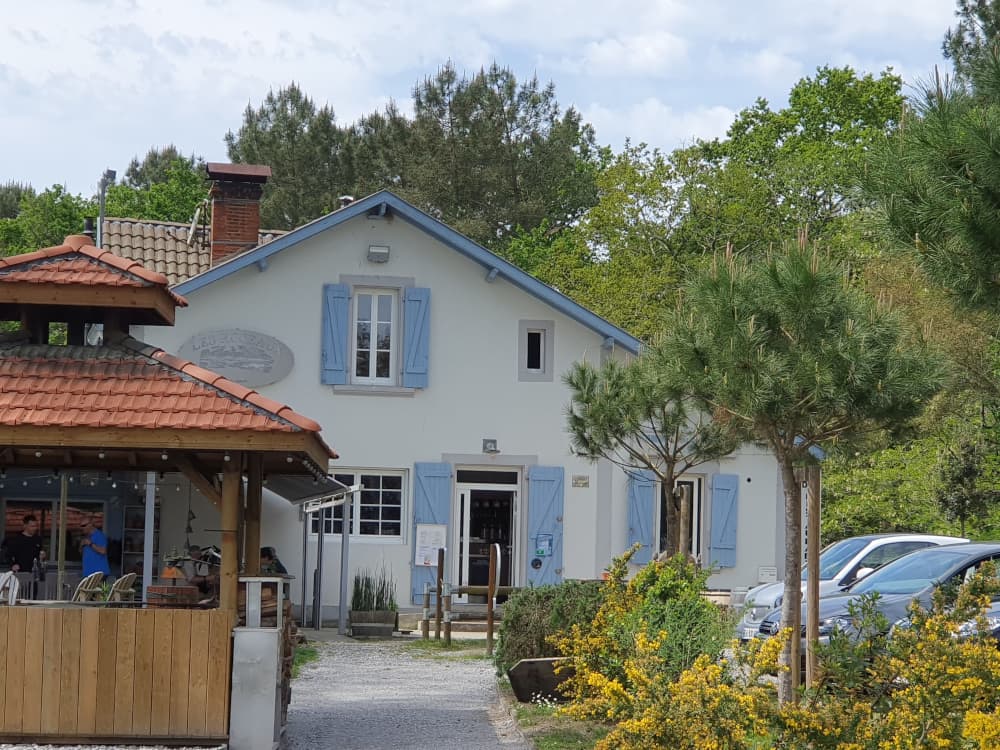 Les Roseaux