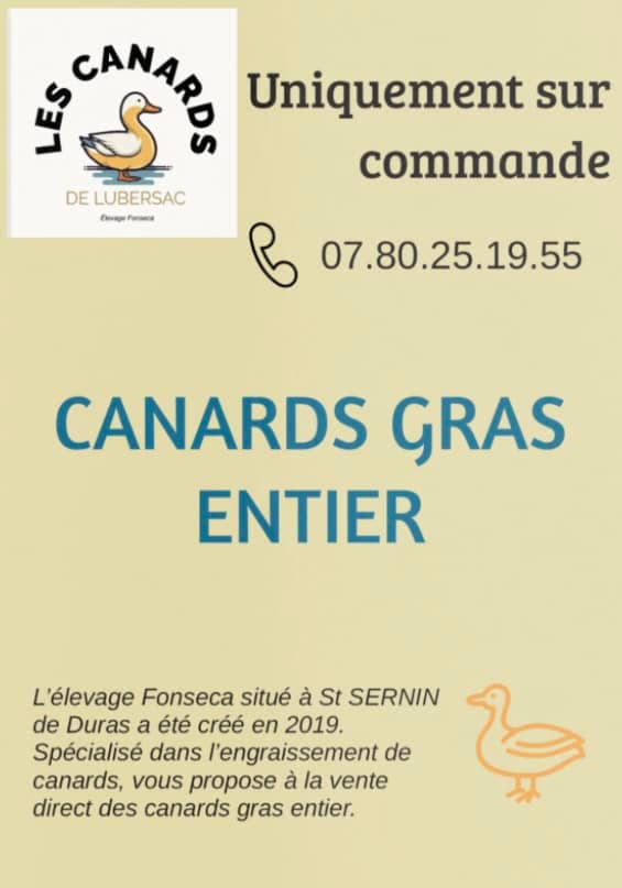Les canards de Lubersac2025 (1)