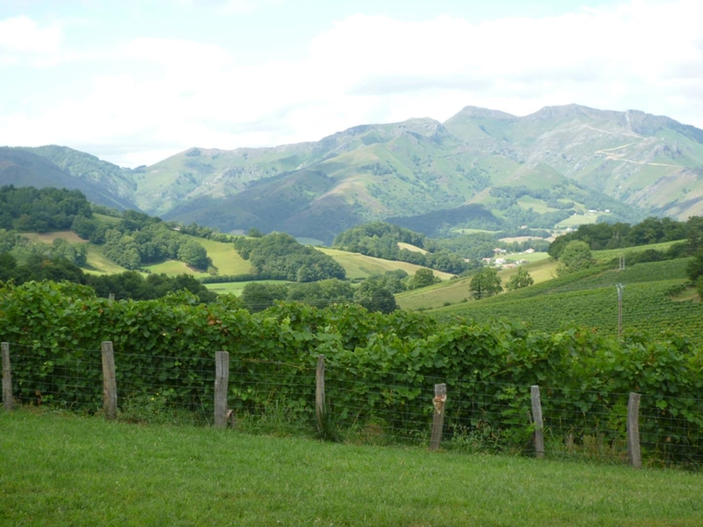 Location Arrachea - Vue montagnes - Irouléguy