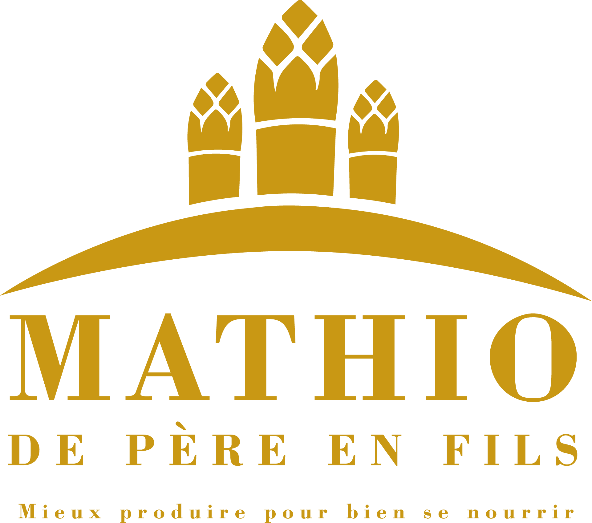 Ferme Mathio_Tosse_Landes Atlantique Sud