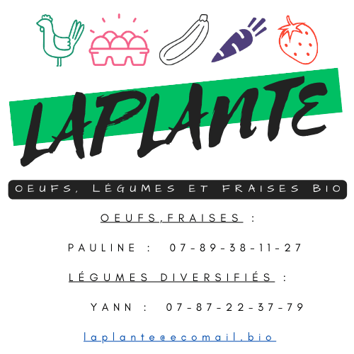 Plante - 1