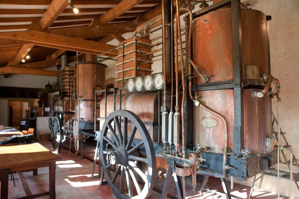 Ecomusée de l'Armagnac_1