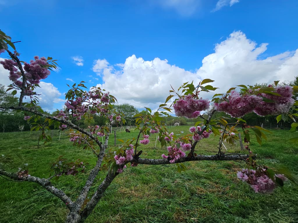 Lourdoueix-ST-Pierre-vue sur l'environnement