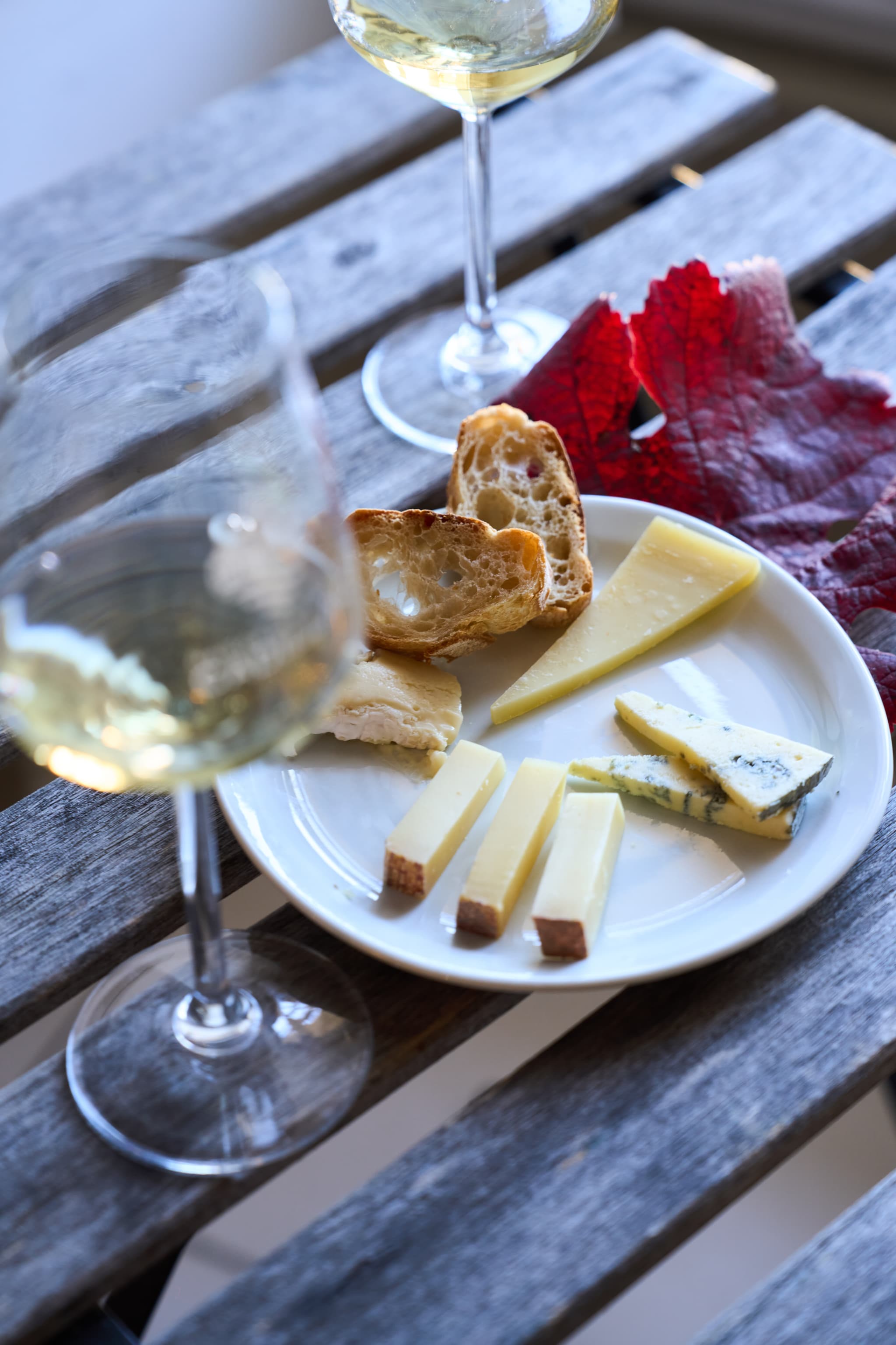 MAISON DES VINS DE CADILLAC SEMINAIRE-fromage