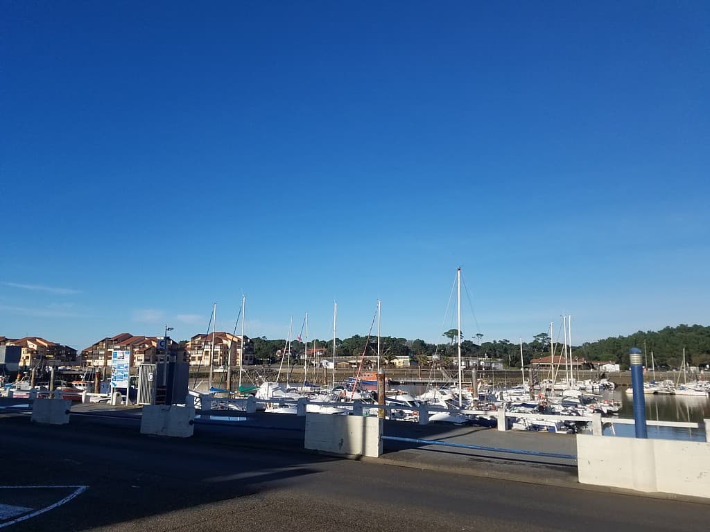 MAMIQUE_CAPBRETON_LANDESATLANTIQUESUD