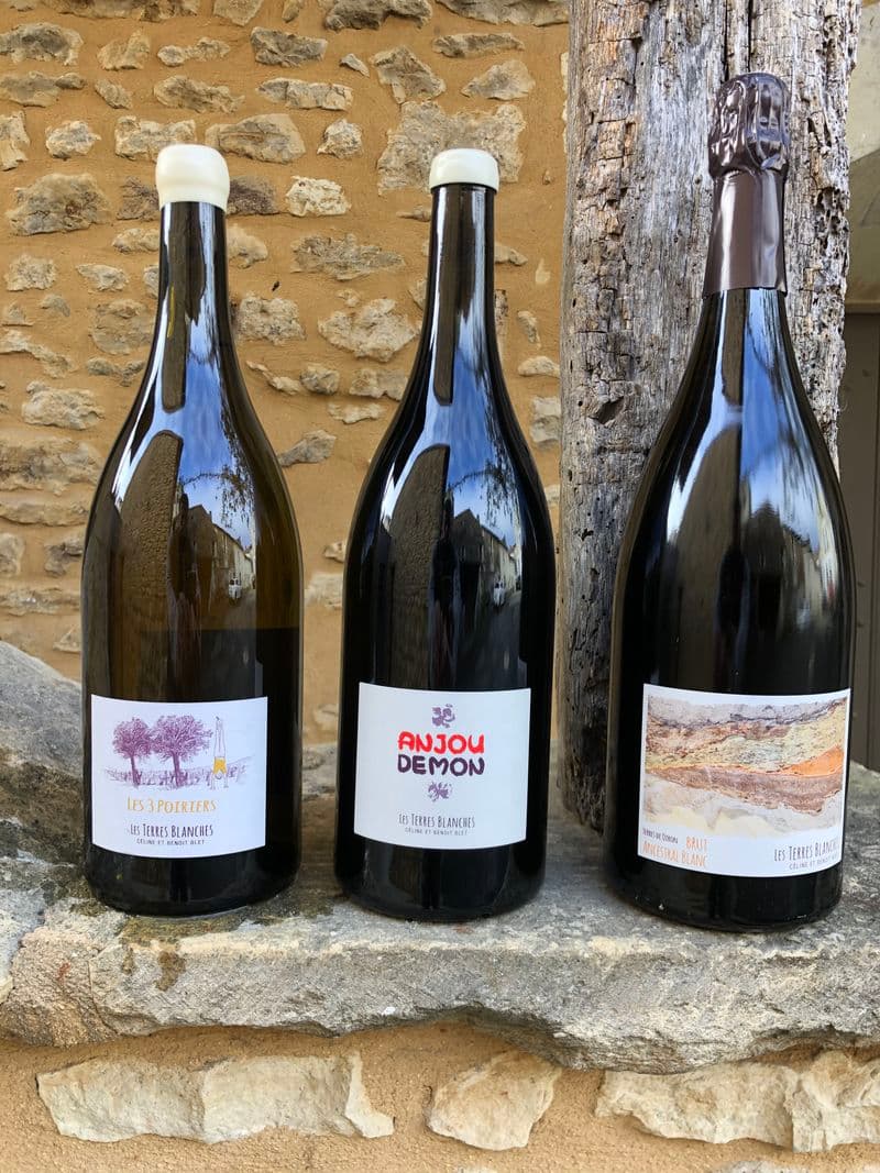 Terres blanches Viticulteur Vins bio degustation Oiron Plaine Vallees Thouarsais