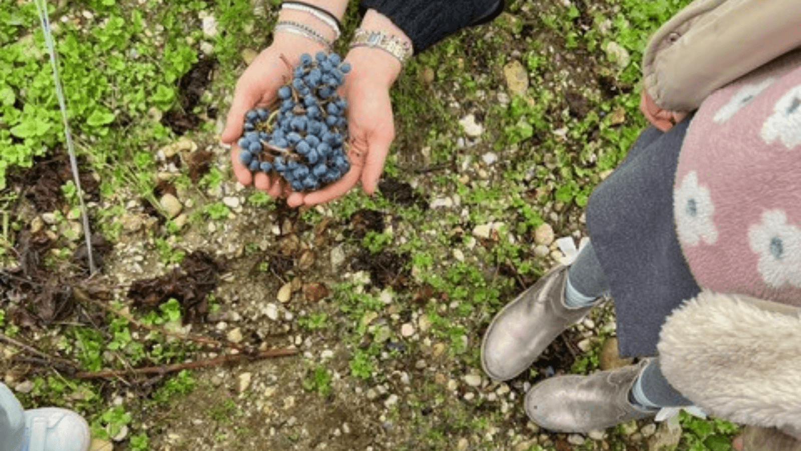 Agenda en ligne - Malartic Lagravière