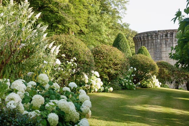 Manoir de Peyraux (1)