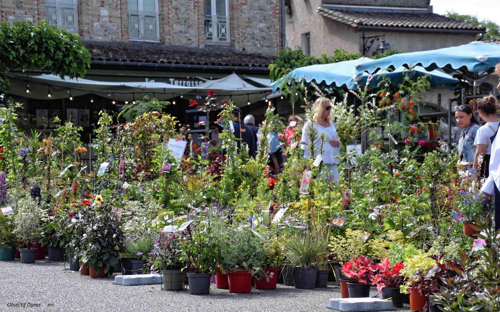Marché aux fleurs 2025 Duras (2)