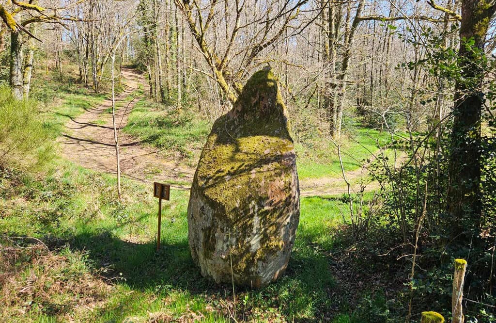 Menhir du Theil 8 - Sirtaqui