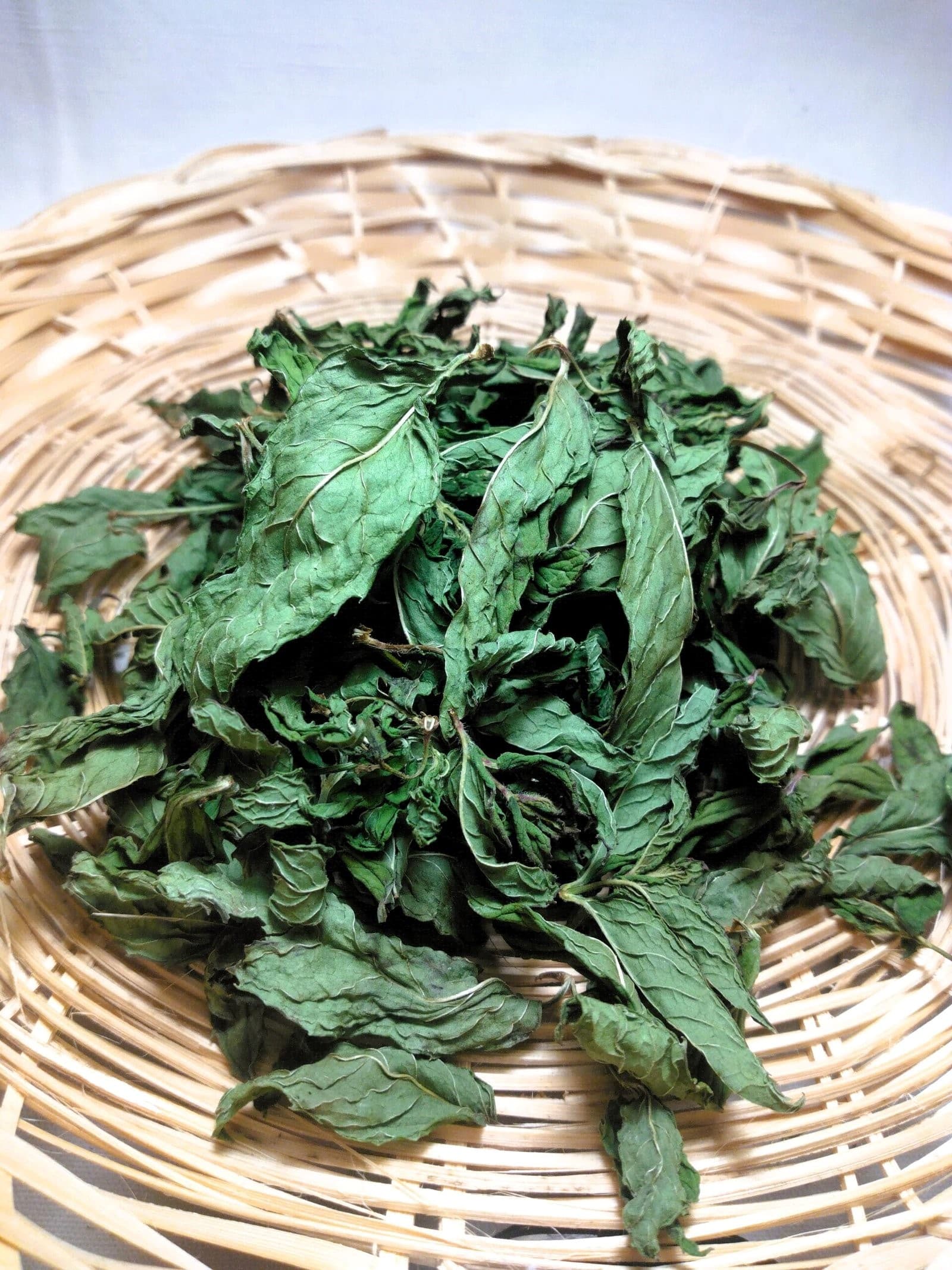 Menthe SP