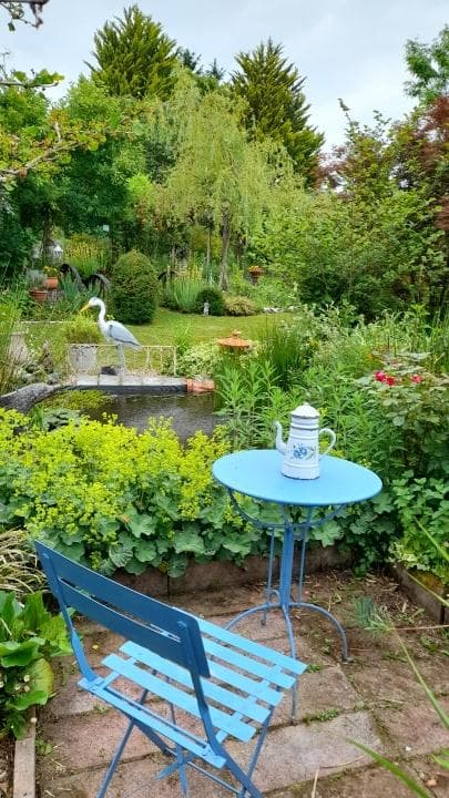 Au Paradis des Fleurs et des Oiseaux - Availles-Limouzine