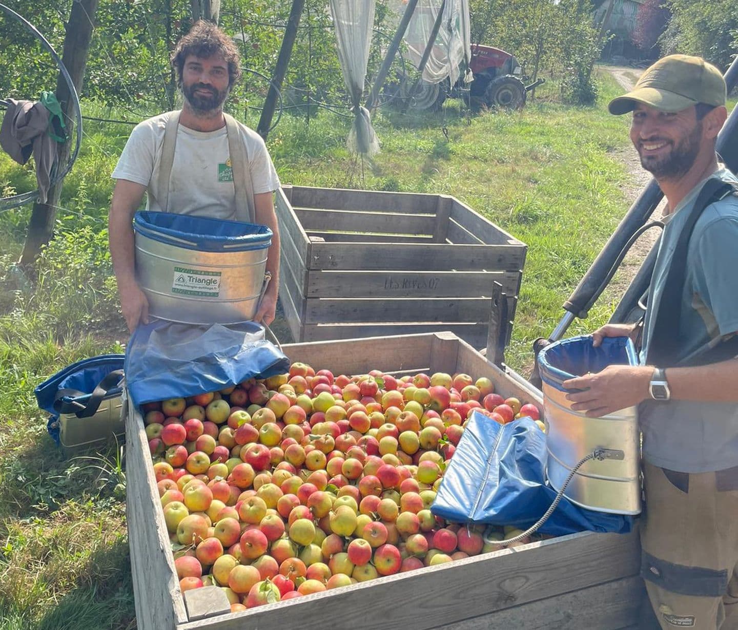 Montardon fête de la pomme @ Cueillette de l'Aragnon (3)