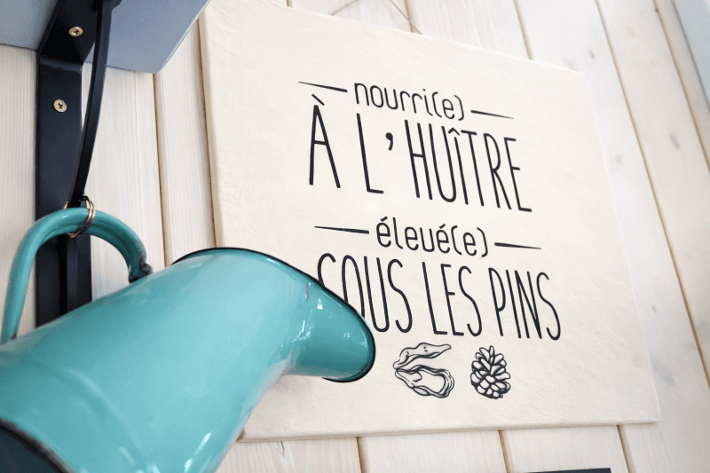 Nourri sous les pins