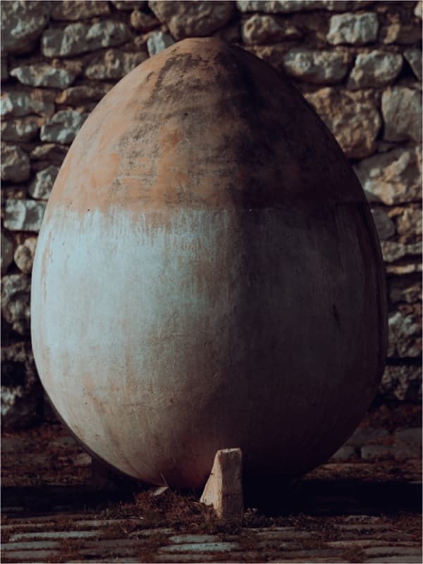 Oeuf couronneau