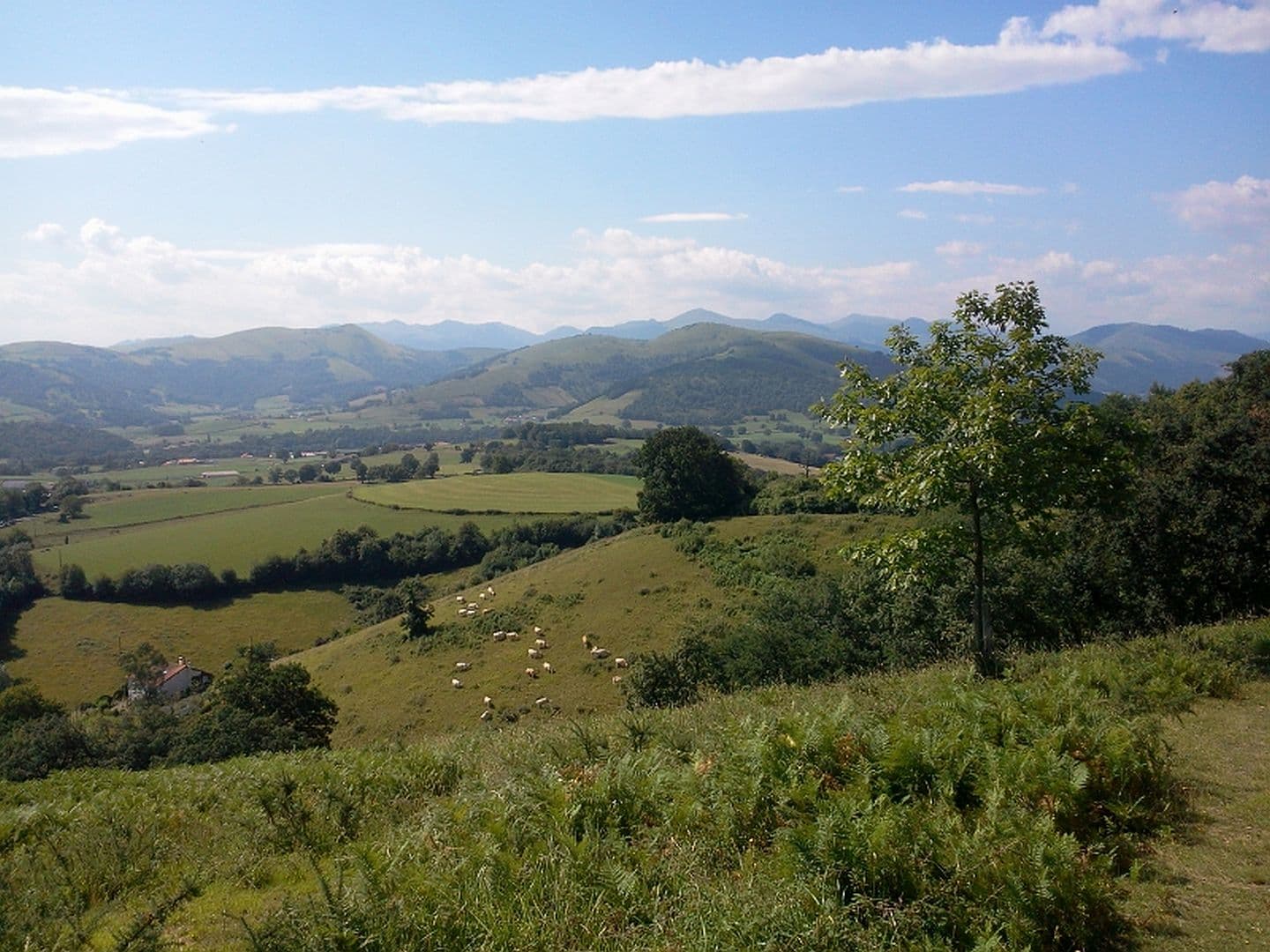 Ostabat-paysage-2