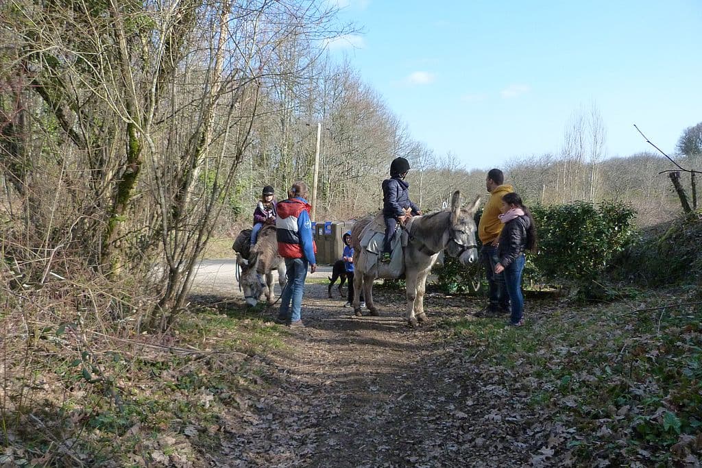 Ferme au pas de l'âne - Molières Bastides Dordogne Périgord en famille