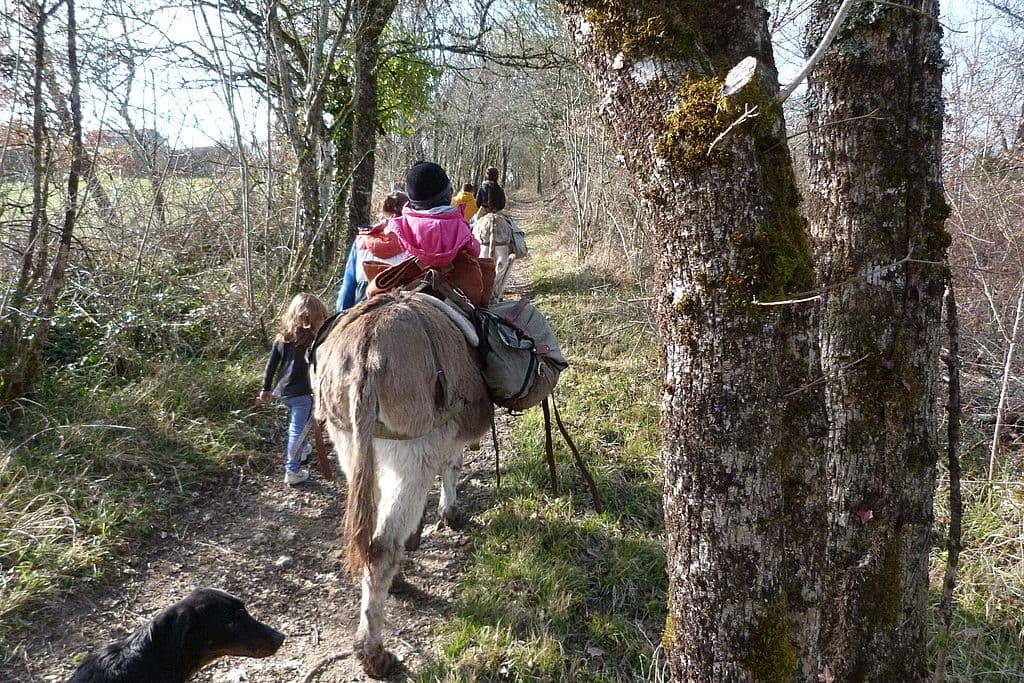 Ferme au pas de l'âne - Molières Bastides Dordogne Périgord en famille