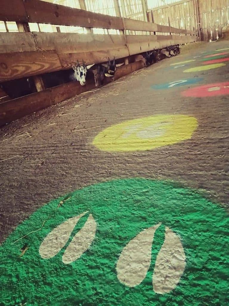 PARCOURS LUDIQUE ENFANTS CHEVRES FERME