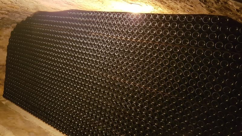 PILE GRAVA 2019 CAVEAU