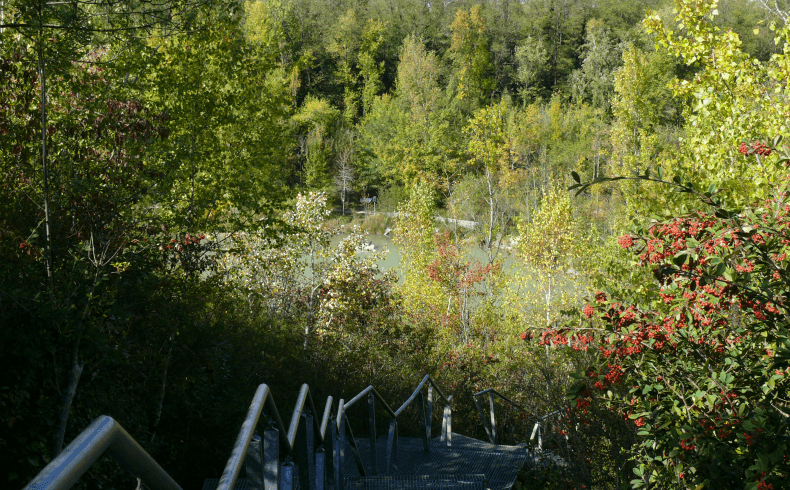 Parc de l'Ermitage - Lormont (2)