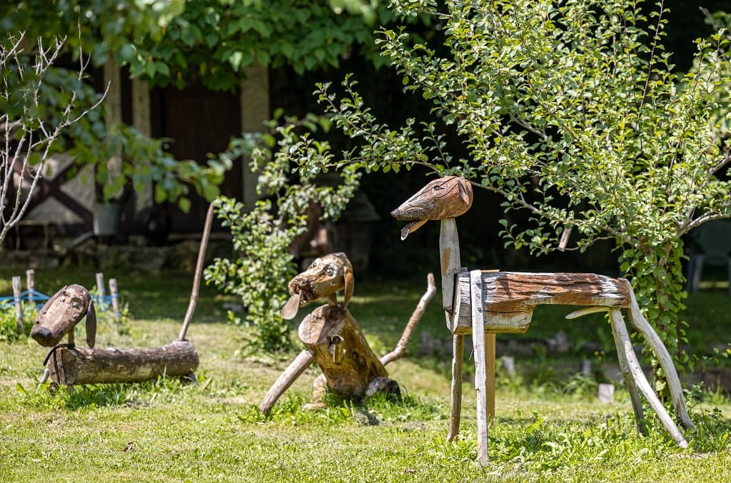 Les toutous dans le parc