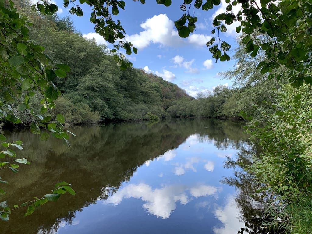 Parcours de Beaufort pour la pêche à la carpe de nuit en Limousin vue vers l'aval près du parking
