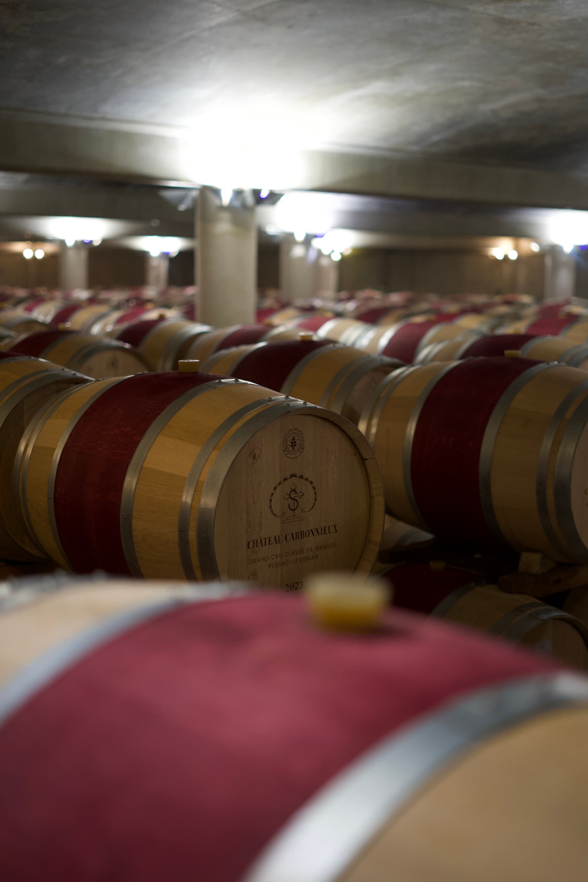 Chateau Carbonnieux