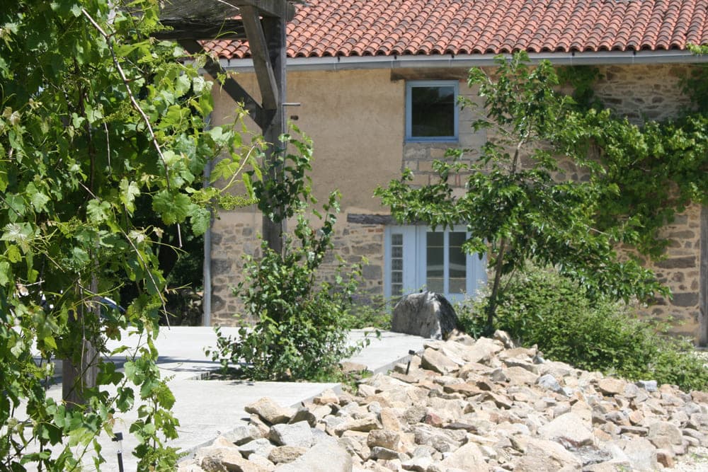 Le Pavot
