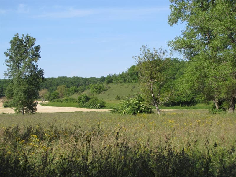 Paysage bocager